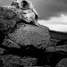 Skull 130210_2